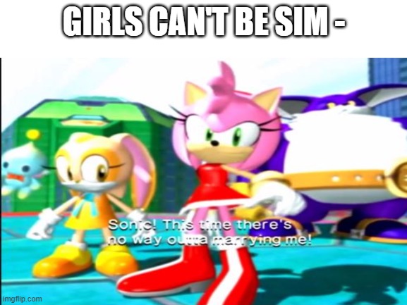 GIRLS CAN'T BE SIM - | image tagged in original meme | made w/ Imgflip meme maker