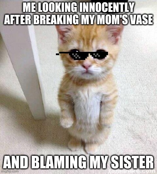 ME in real life | ME LOOKING INNOCENTLY AFTER BREAKING MY MOM'S VASE; AND BLAMING MY SISTER | image tagged in memes,cute cat | made w/ Imgflip meme maker