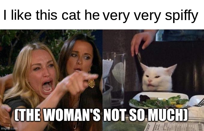 Spiffy cat | I like this cat he; very very spiffy; (THE WOMAN'S NOT SO MUCH) | image tagged in memes,woman yelling at cat | made w/ Imgflip meme maker