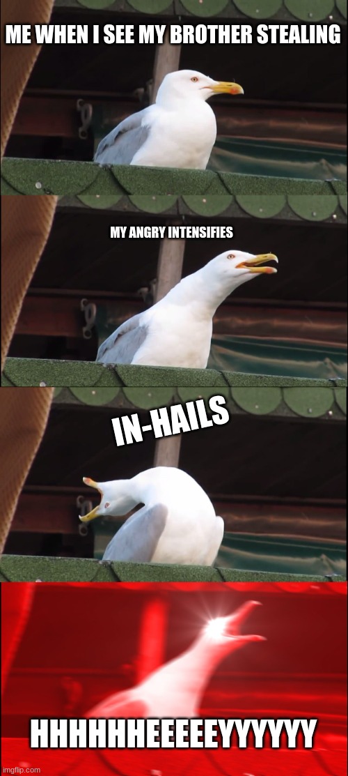 Inhaling Seagull Meme | ME WHEN I SEE MY BROTHER STEALING; MY ANGRY INTENSIFIES; IN-HAILS; HHHHHHEEEEEYYYYYY | image tagged in memes,inhaling seagull | made w/ Imgflip meme maker
