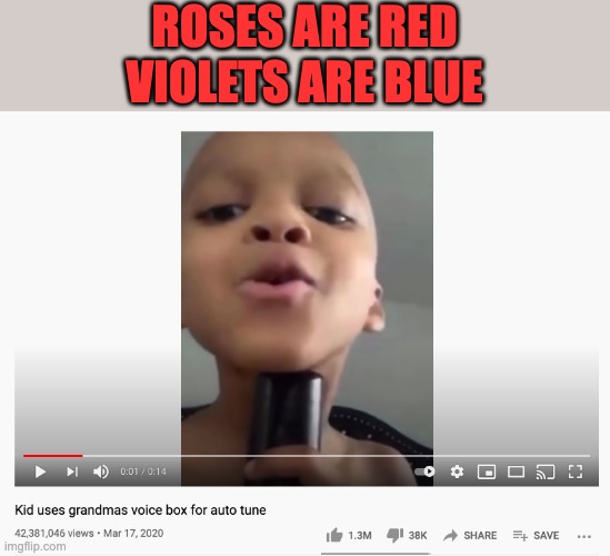 BRUV | ROSES ARE RED
VIOLETS ARE BLUE | image tagged in funny | made w/ Imgflip meme maker