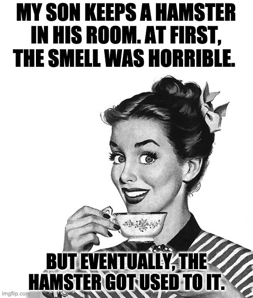 Smell | MY SON KEEPS A HAMSTER IN HIS ROOM. AT FIRST, THE SMELL WAS HORRIBLE. BUT EVENTUALLY, THE HAMSTER GOT USED TO IT. | image tagged in retro woman teacup | made w/ Imgflip meme maker