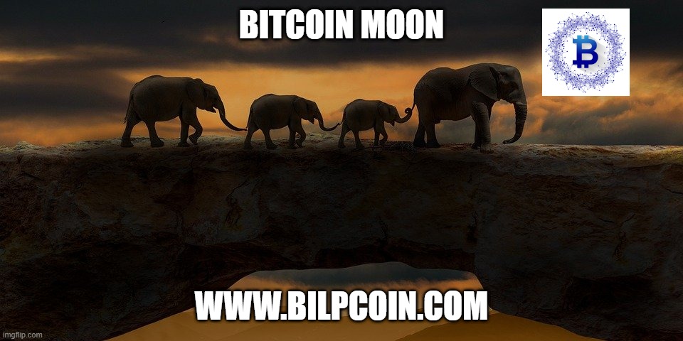 BITCOIN MOON; WWW.BILPCOIN.COM | made w/ Imgflip meme maker