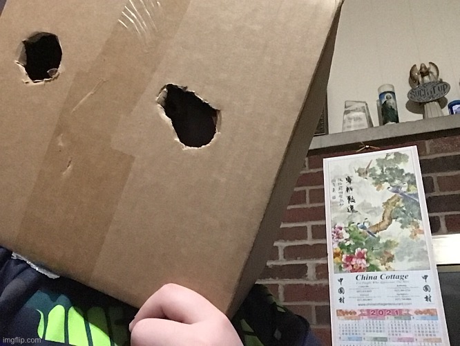 This is the Cardboard helmet I've been working on | image tagged in fyab | made w/ Imgflip meme maker