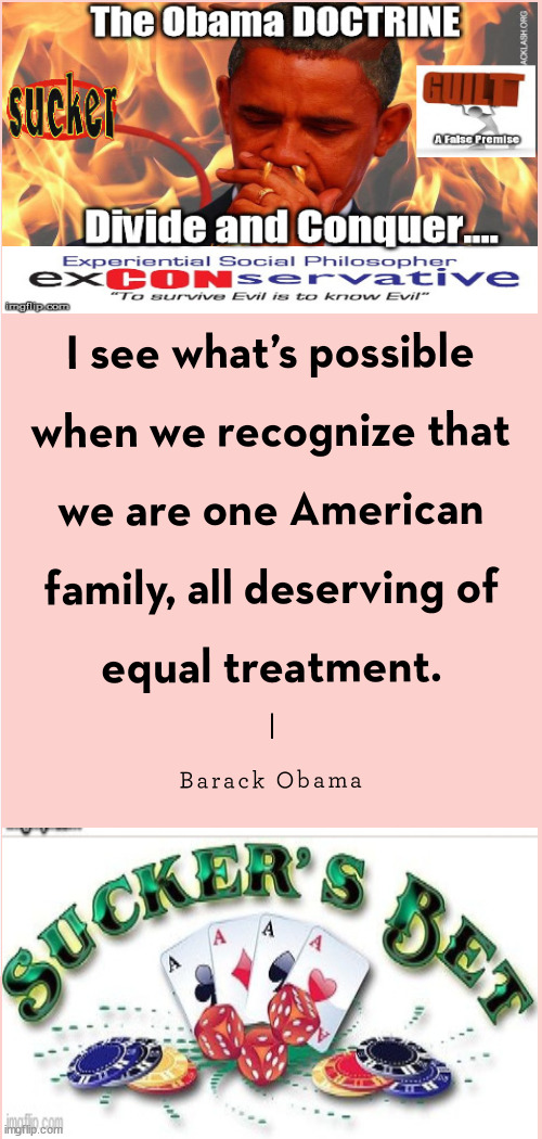 The Obama DOCTRINE...Divide and Conquer...Hypocrisy abounds | image tagged in obama,obama doctrine,fox in hen house,treason,election | made w/ Imgflip meme maker