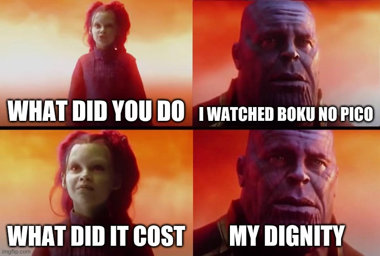 thanos what did it cost | WHAT DID YOU DO; I WATCHED BOKU NO PICO; WHAT DID IT COST; MY DIGNITY | image tagged in thanos what did it cost | made w/ Imgflip meme maker