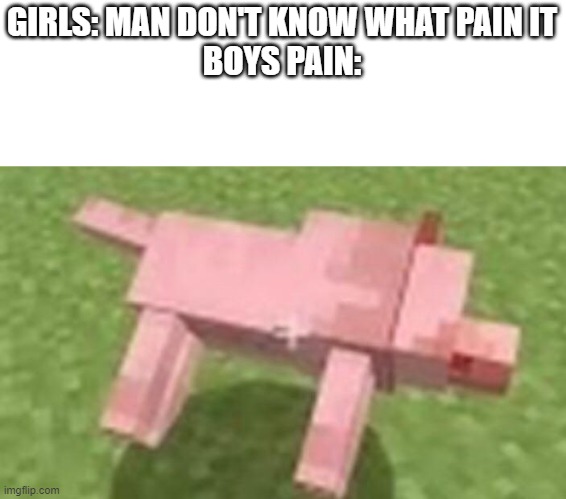 :,( | GIRLS: MAN DON'T KNOW WHAT PAIN IT
BOYS PAIN: | image tagged in minecraft dog dying | made w/ Imgflip meme maker