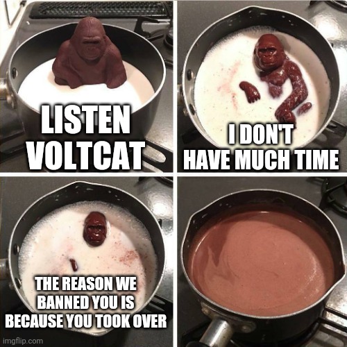 chocolate gorilla | LISTEN VOLTCAT I DON'T HAVE MUCH TIME THE REASON WE BANNED YOU IS BECAUSE YOU TOOK OVER | image tagged in chocolate gorilla | made w/ Imgflip meme maker