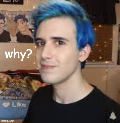 why? | image tagged in why | made w/ Imgflip meme maker