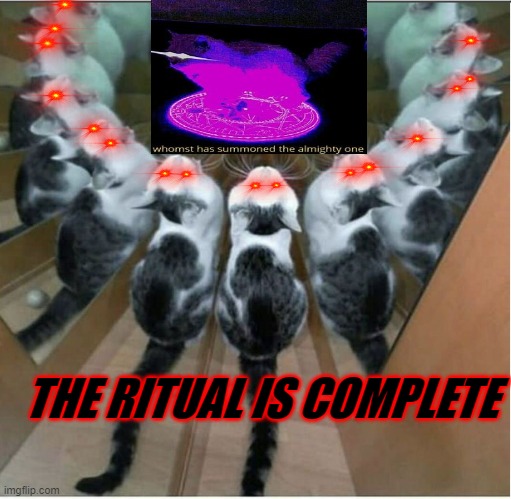 The ritual is complete | THE RITUAL IS COMPLETE | image tagged in whomst has summoned the almighty one,cats | made w/ Imgflip meme maker
