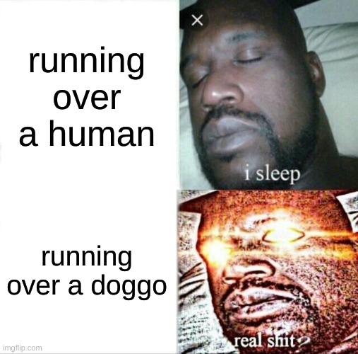Sleeping Shaq |  running over a human; running over a doggo | image tagged in memes,sleeping shaq | made w/ Imgflip meme maker