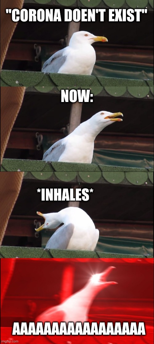 Inhaling Seagull | "CORONA DOEN'T EXIST"; NOW:; *INHALES*; AAAAAAAAAAAAAAAAA | image tagged in memes,inhaling seagull | made w/ Imgflip meme maker