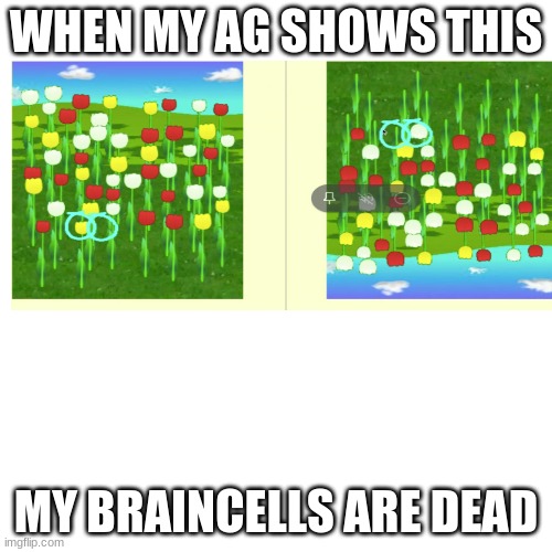AAAAAAAAAAAAAAAAAAAAAAAAH | WHEN MY AG SHOWS THIS; MY BRAINCELLS ARE DEAD | image tagged in memes,blank transparent square | made w/ Imgflip meme maker