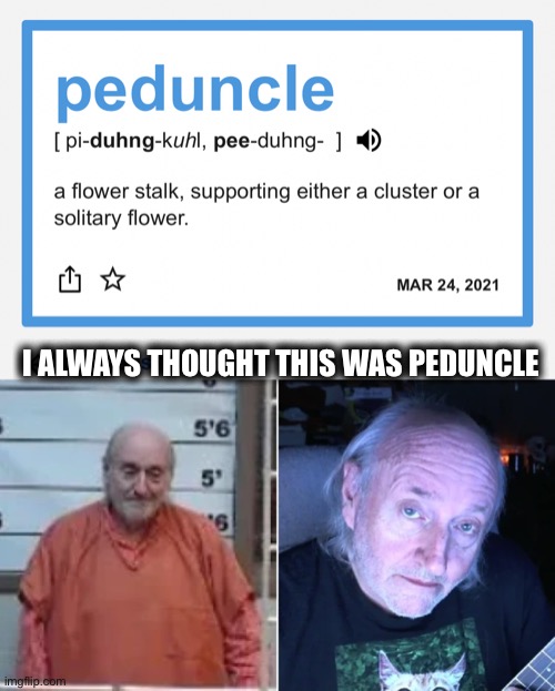 Pedophile Uncle Word of the day | I ALWAYS THOUGHT THIS WAS PEDUNCLE | image tagged in pedophile,word of the day,uncle | made w/ Imgflip meme maker