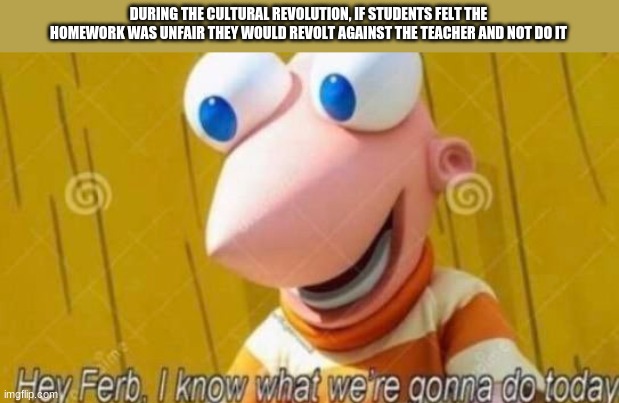 funni | DURING THE CULTURAL REVOLUTION, IF STUDENTS FELT THE HOMEWORK WAS UNFAIR THEY WOULD REVOLT AGAINST THE TEACHER AND NOT DO IT | image tagged in hey ferb | made w/ Imgflip meme maker