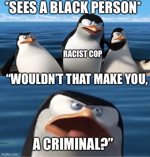 Wouldn't that make you | *SEES A BLACK PERSON*; RACIST COP; “WOULDN’T THAT MAKE YOU, A CRIMINAL?” | image tagged in wouldn't that make you | made w/ Imgflip meme maker