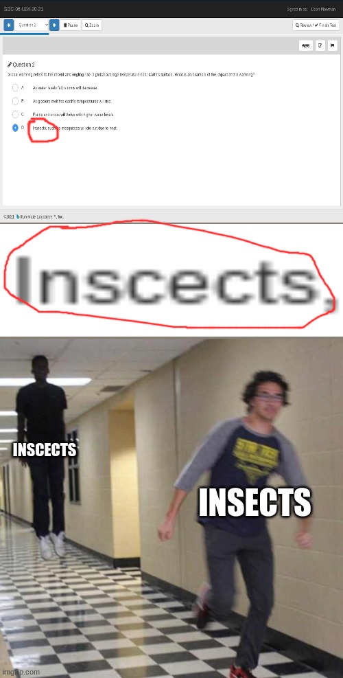 I found this in my BA | INSCECTS; INSECTS | image tagged in floating boy chasing running boy | made w/ Imgflip meme maker