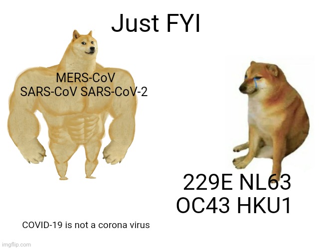 Buff Doge vs. Cheems Meme | 229E NL63 OC43 HKU1 MERS-CoV SARS-CoV SARS-CoV-2 Just FYI COVID-19 is not a corona virus | image tagged in memes,buff doge vs cheems | made w/ Imgflip meme maker