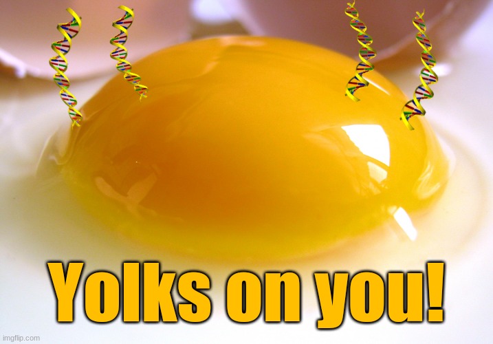 yolks on you | Yolks on you! | image tagged in dna | made w/ Imgflip meme maker
