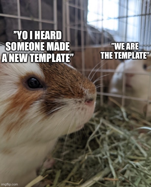 Template by GuineaPigMemesAndPics | ’’WE ARE THE TEMPLATE’’; ’’YO I HEARD SOMEONE MADE A NEW TEMPLATE’’ | image tagged in two guinea pigs,new template,animals,memes,announcement,kind of | made w/ Imgflip meme maker
