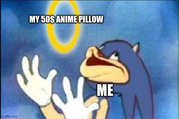 i can't think of anything at the top my head | MY 50$ ANIME PILLOW; ME | image tagged in sonic derp | made w/ Imgflip meme maker