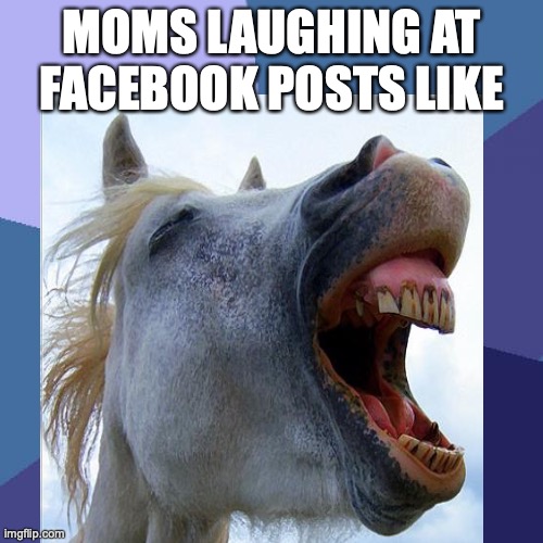 It do be like that tho | MOMS LAUGHING AT FACEBOOK POSTS LIKE | image tagged in ostrich | made w/ Imgflip meme maker
