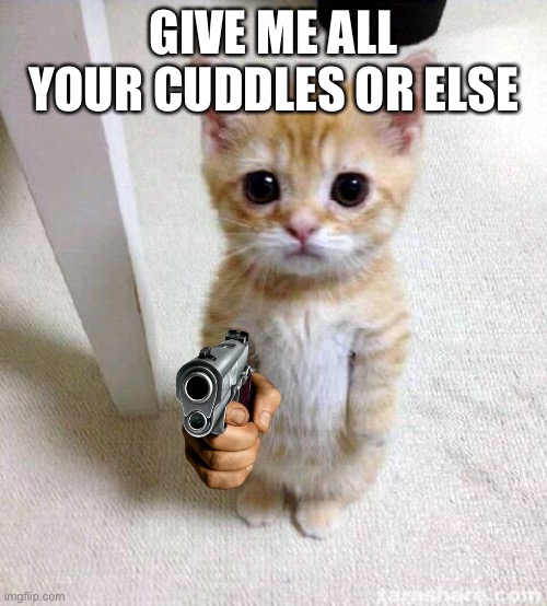 Give all cuddles NOW | GIVE ME ALL YOUR CUDDLES OR ELSE | image tagged in memes,cute cat | made w/ Imgflip meme maker