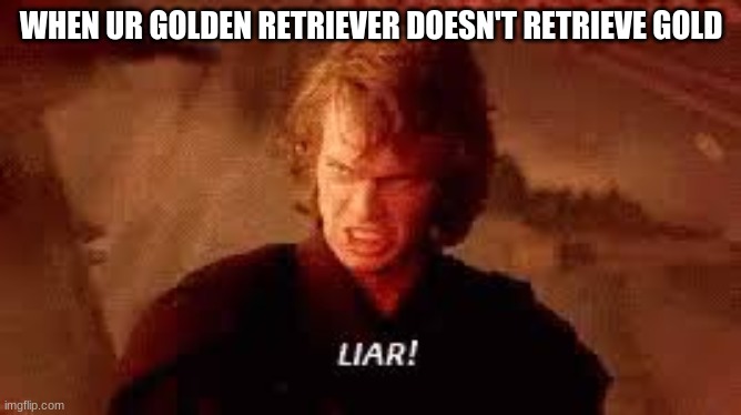 Anakin Liar | WHEN UR GOLDEN RETRIEVER DOESN'T RETRIEVE GOLD | image tagged in anakin liar | made w/ Imgflip meme maker