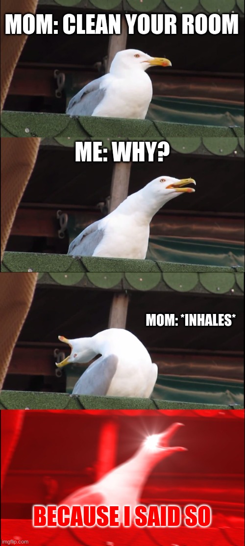 its always because i said so | MOM: CLEAN YOUR ROOM; ME: WHY? MOM: *INHALES*; BECAUSE I SAID SO | image tagged in memes,inhaling seagull,mom | made w/ Imgflip meme maker