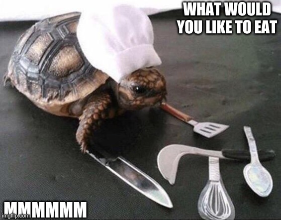  WHAT WOULD YOU LIKE TO EAT; MMMMMM | image tagged in cooking turtle | made w/ Imgflip meme maker
