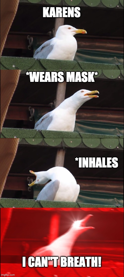 Inhaling Seagull | KARENS; *WEARS MASK*; *INHALES; I CAN"T BREATH! | image tagged in memes,inhaling seagull | made w/ Imgflip meme maker