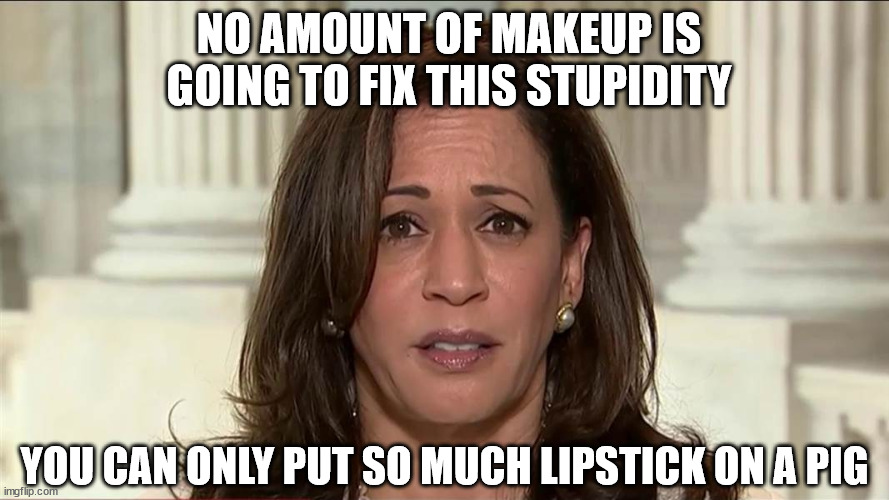 kamala harris | NO AMOUNT OF MAKEUP IS GOING TO FIX THIS STUPIDITY; YOU CAN ONLY PUT SO MUCH LIPSTICK ON A PIG | image tagged in kamala harris | made w/ Imgflip meme maker