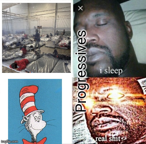 one kid, two kid, kennel for you. kid | Progressives | image tagged in memes,sleeping shaq | made w/ Imgflip meme maker
