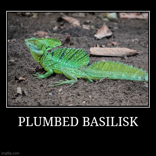 Plumbed Basilisk | image tagged in demotivationals,basilisk | made w/ Imgflip demotivational maker