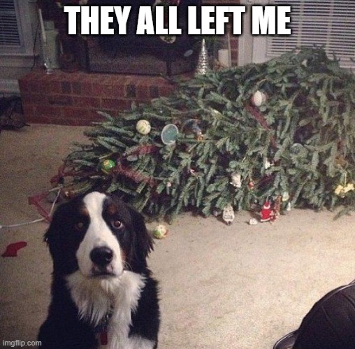 Dog Christmas Tree | THEY ALL LEFT ME | image tagged in dog christmas tree | made w/ Imgflip meme maker