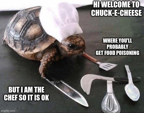 still no | HI WELCOME TO CHUCK-E-CHEESE; WHERE YOU'LL PROBABLY GET FOOD POISONING; BUT I AM THE CHEF SO IT IS OK | image tagged in cooking turtle | made w/ Imgflip meme maker