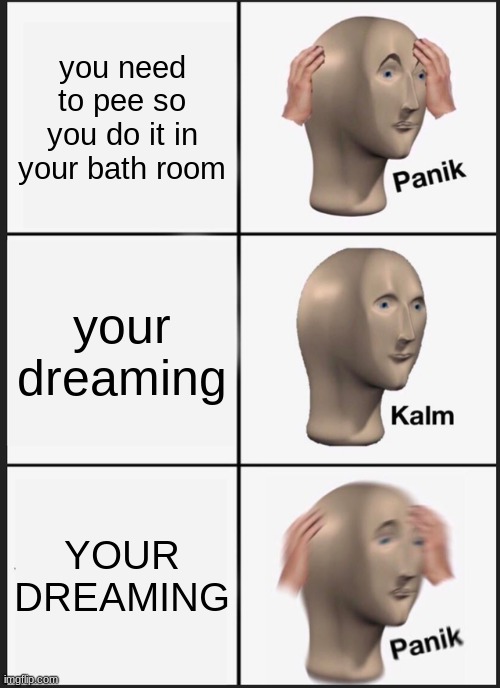 Panik Kalm Panik | you need to pee so you do it in your bath room; your dreaming; YOUR DREAMING | image tagged in memes,panik kalm panik,potato made | made w/ Imgflip meme maker