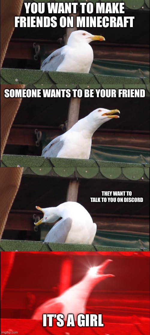 This never happened, sadly | YOU WANT TO MAKE FRIENDS ON MINECRAFT; SOMEONE WANTS TO BE YOUR FRIEND; THEY WANT TO TALK TO YOU ON DISCORD; IT’S A GIRL | image tagged in memes,inhaling seagull,gifs,minecraft,friends,wish | made w/ Imgflip meme maker