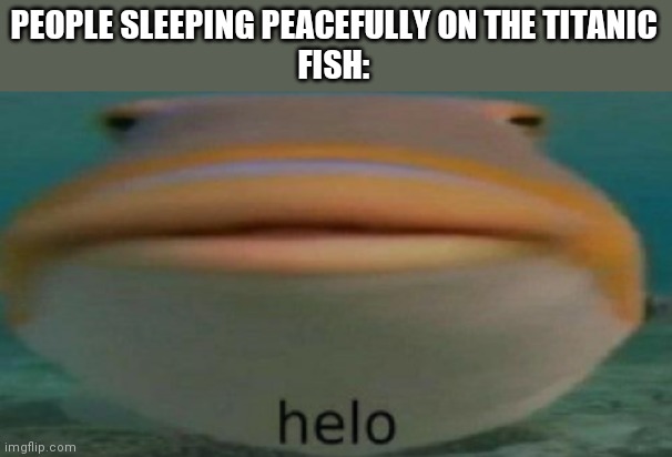 helo | PEOPLE SLEEPING PEACEFULLY ON THE TITANIC
FISH: | image tagged in helo | made w/ Imgflip meme maker