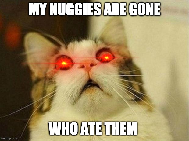 WHOOOO | MY NUGGIES ARE GONE; WHO ATE THEM | image tagged in memes,scared cat | made w/ Imgflip meme maker