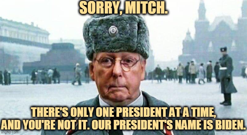 Mitch does not have a veto power over the entire government. Watch his tantrum when he finds out blocking Biden has a price. | SORRY, MITCH. THERE'S ONLY ONE PRESIDENT AT A TIME, AND YOU'RE NOT IT. OUR PRESIDENT'S NAME IS BIDEN. | image tagged in moscow mitch,block | made w/ Imgflip meme maker