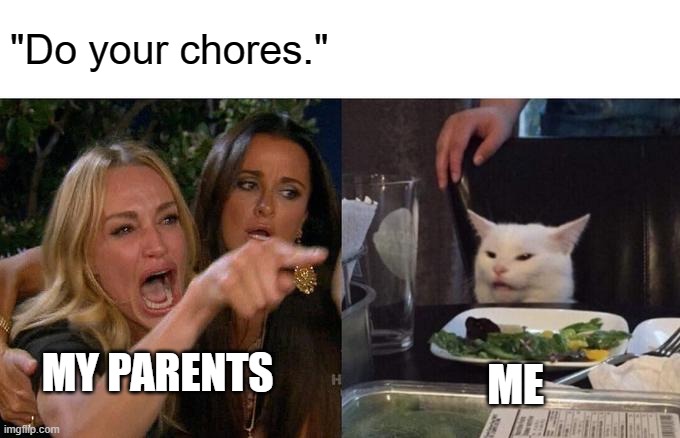 Woman Yelling At Cat | "Do your chores."; MY PARENTS; ME | image tagged in memes,woman yelling at cat | made w/ Imgflip meme maker