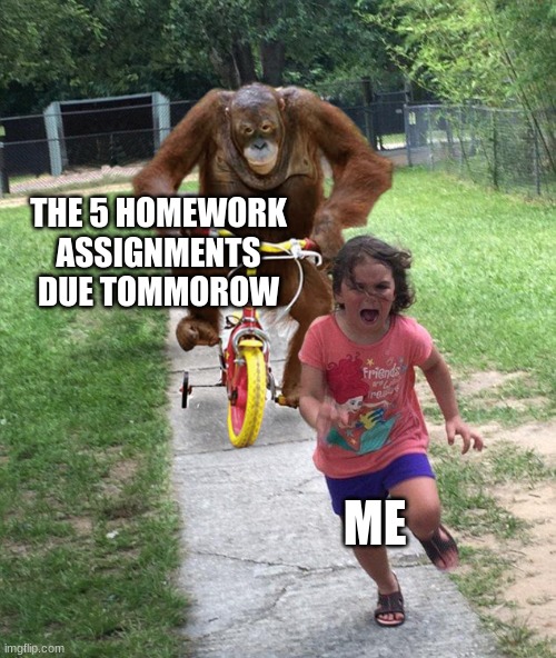 Orangutan chasing girl on a tricycle | THE 5 HOMEWORK ASSIGNMENTS DUE TOMMOROW; ME | image tagged in orangutan chasing girl on a tricycle | made w/ Imgflip meme maker