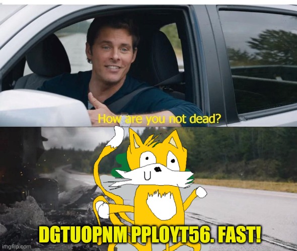 Teels | DGTUOPNM PPLOYT56. FAST! | image tagged in sonic how are you not dead,tails,cursed sonic images,sanic,sonic the hedgehog | made w/ Imgflip meme maker