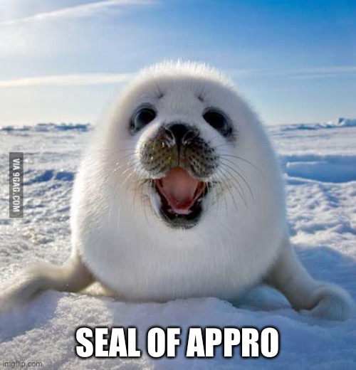 Seal of Approval | SEAL OF APPROVAL | image tagged in seal of approval | made w/ Imgflip meme maker