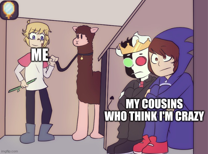 XD |  ME; MY COUSINS WHO THINK I'M CRAZY | image tagged in tommy scares ranboo and conner | made w/ Imgflip meme maker