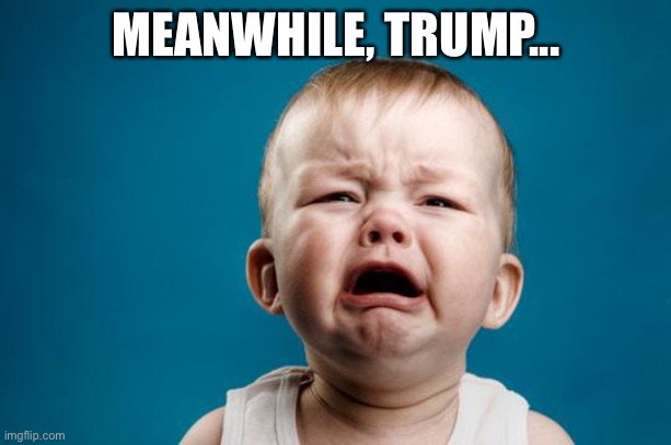 BABY CRYING | MEANWHILE, TRUMP... | image tagged in baby crying | made w/ Imgflip meme maker