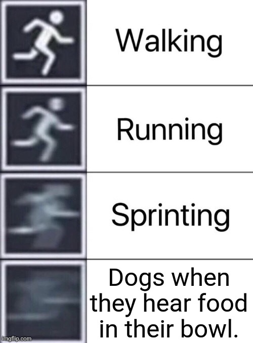 Dogs be like | Dogs when they hear food in their bowl. | image tagged in walking running sprinting | made w/ Imgflip meme maker