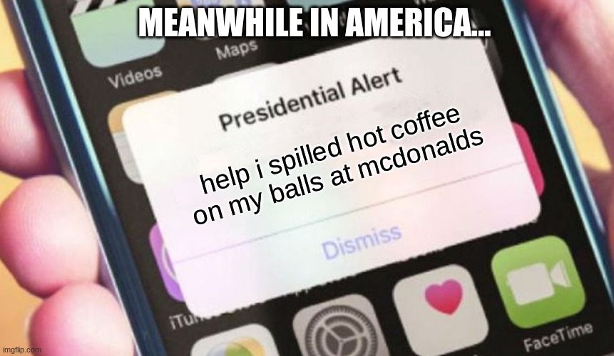 preposterous | MEANWHILE IN AMERICA... help i spilled hot coffee on my balls at mcdonalds | image tagged in memes,presidential alert,funny | made w/ Imgflip meme maker