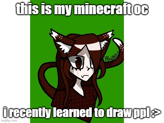 hope u like :> | this is my minecraft oc; i recently learned to draw ppl :> | made w/ Imgflip meme maker